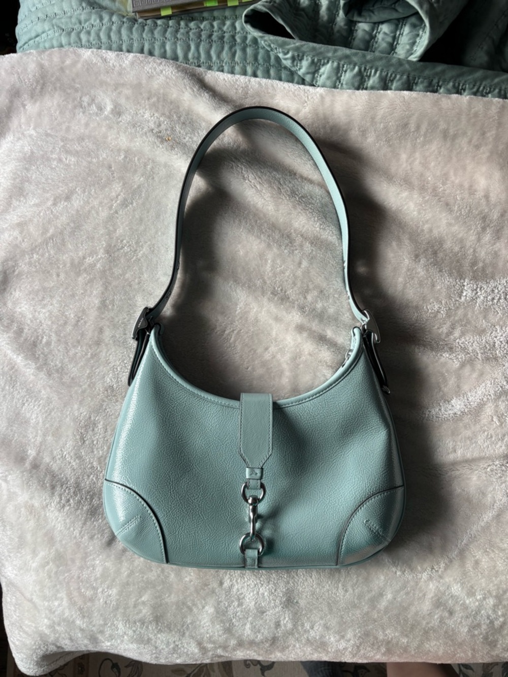 Coach Hamptons Hobo Bag with Silver Hardware